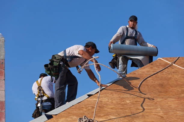 Best Roof Replacement Cost  in Menahga, MN