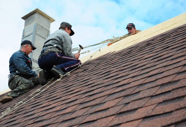 Best Metal Roofing Contractor  in Menahga, MN