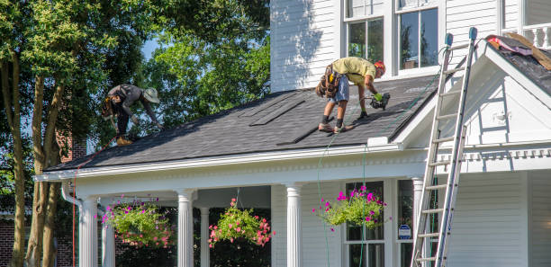 Best Roof Gutter Cleaning  in Menahga, MN